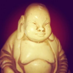 Meet your Posher, Ernesto